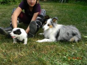 02062012WelpenDeli 100.jpg