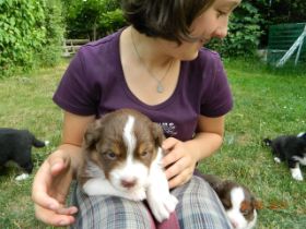 02062012WelpenDeli 102.jpg