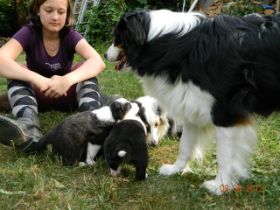 02062012WelpenDeli 101.jpg