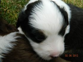 02062012WelpenDeli 092.jpg