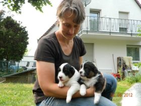 02062012WelpenDeli 084.jpg