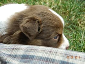 02062012WelpenDeli 077.jpg