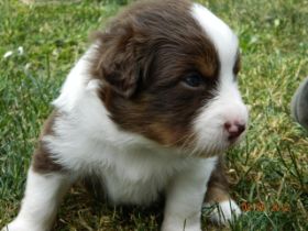 02062012WelpenDeli 080.jpg