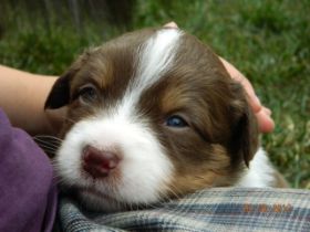 02062012WelpenDeli 079.jpg