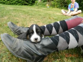 02062012WelpenDeli 071.jpg