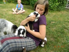 02062012WelpenDeli 070.jpg