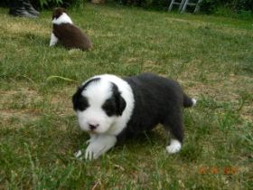 02062012WelpenDeli 065.jpg