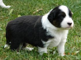 02062012WelpenDeli 064.jpg