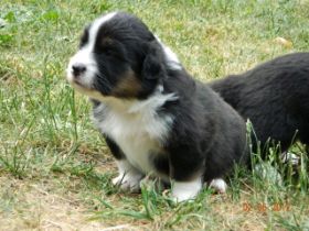 02062012WelpenDeli 063.jpg