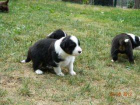 02062012WelpenDeli 062.jpg