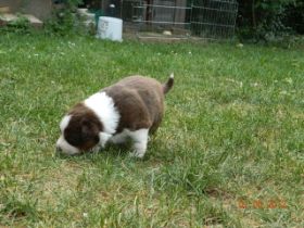 02062012WelpenDeli 061.jpg