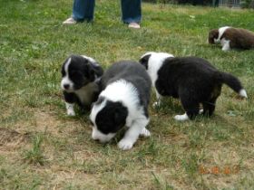 02062012WelpenDeli 060.jpg