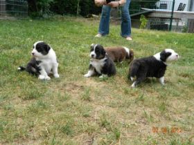 02062012WelpenDeli 059.jpg