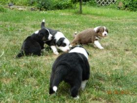 02062012WelpenDeli 058.jpg