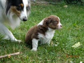 02062012WelpenDeli 049.jpg