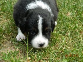 02062012WelpenDeli 050.jpg