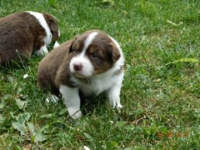 02062012WelpenDeli 051.jpg