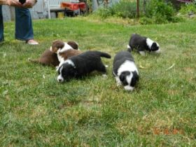 02062012WelpenDeli 054.jpg