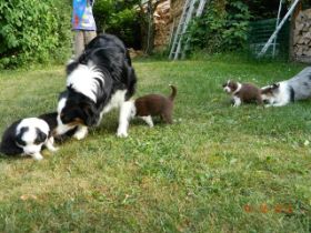 02062012WelpenDeli 037.jpg